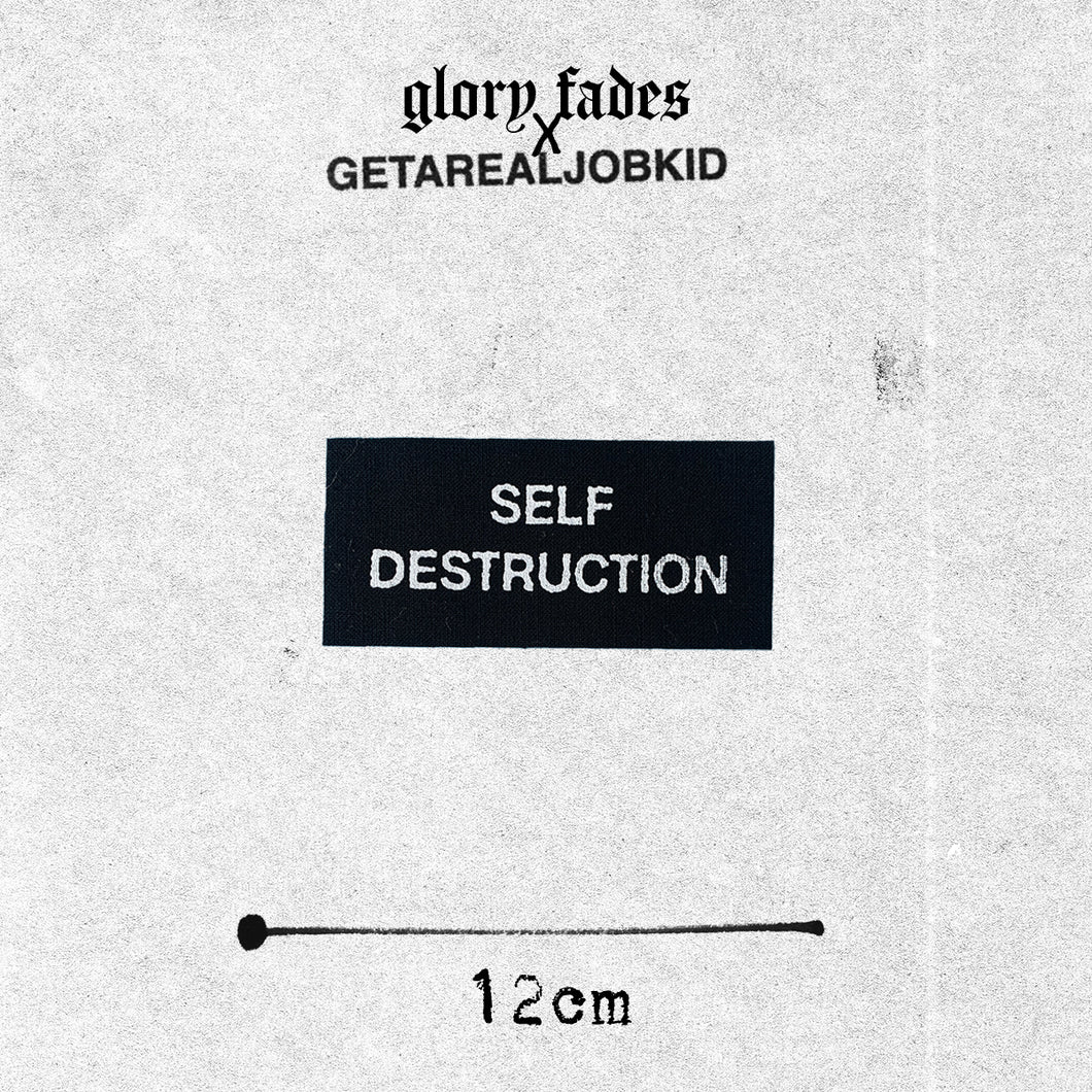 Self Destruction Patch